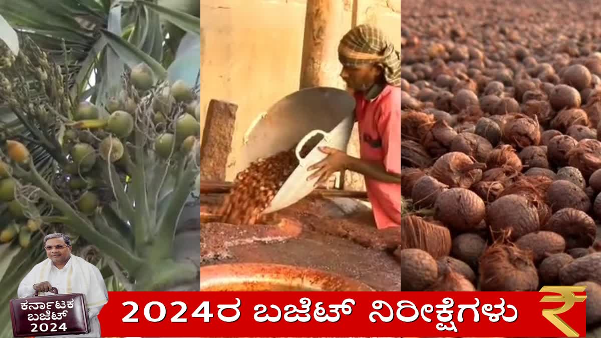 Karnataka Budget  fixed price for areca nut  precision medicine  ಅಡಕೆ ಬೆಳೆಗೆ ಸ್ಥಿರ ಬೆಲೆ  ಸಿದ್ದು ಬಜೆಟ್​ ಲೆಕ್ಕ
