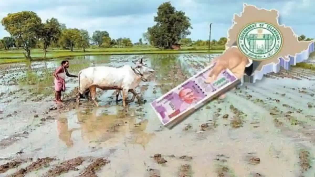 Congress Plan on Farmer Loan Waiver