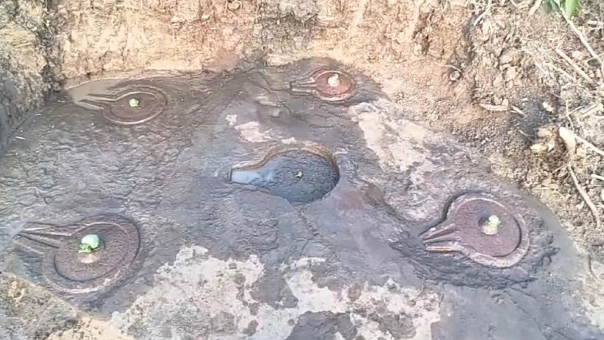 sagar five shivling found