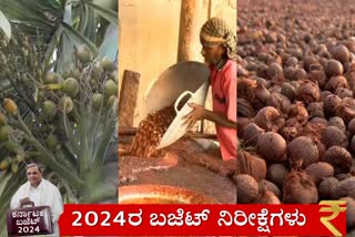 Karnataka Budget  fixed price for areca nut  precision medicine  ಅಡಕೆ ಬೆಳೆಗೆ ಸ್ಥಿರ ಬೆಲೆ  ಸಿದ್ದು ಬಜೆಟ್​ ಲೆಕ್ಕ