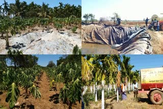 drilled 2 thousand borewells  Farmers  Davanagere  ನೀರಿಗೆ ಹಾಹಾಕಾರ  ಬೋರ್​ವೆಲ್​