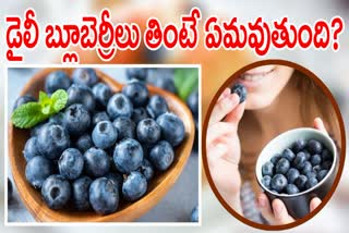 Health Benefits Of Blueberries