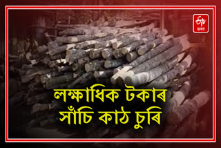 Saanchi Wood Theft in Golaghat