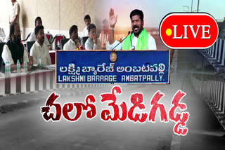 MLAs Medigadda tour live :