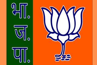 BJP task to Chhattisgarh ministers