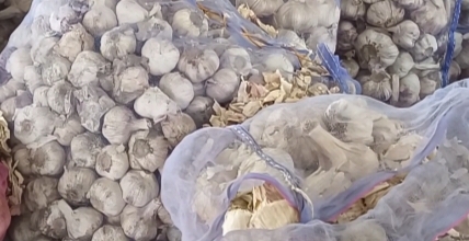 Garlic Price in Himachal