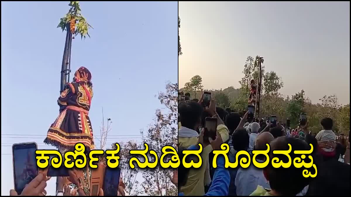 Karnikotsava at the Malathesha Temple as part of Bharata Poornima