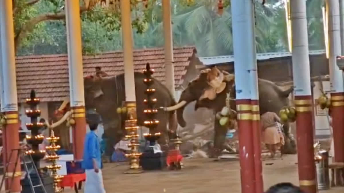 KURUVANGAD MANAKULANGARA TEMPLE  ELEPHANT VIOLENCE IN TEMPLE UTSAV  കുറുവങ്ങാട് മണക്കുളങ്ങര ക്ഷേത്രം  DEATH IN STAMPEDE KOYILANDY