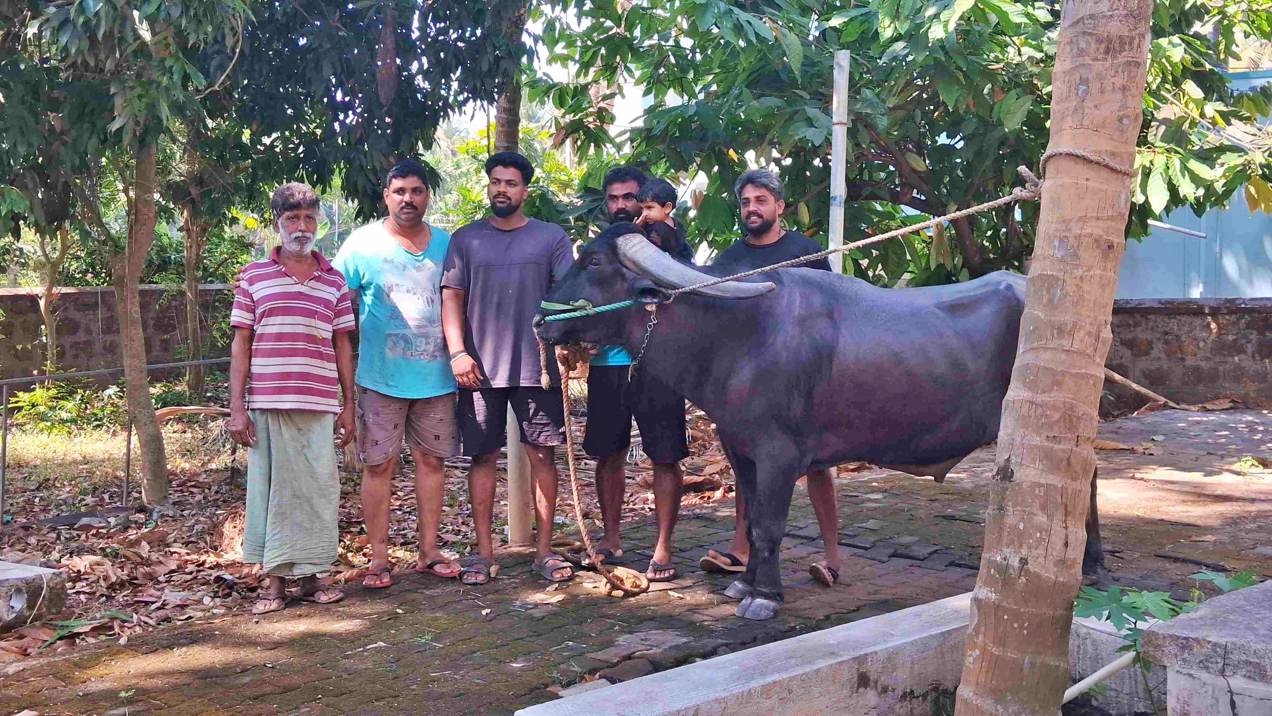 BUFFALO DOOJA, WHO WON 69 MEDALS AT KAMBALA, RETIRING FROM KAMBALA CAUSE OF HEALTH ISSUE