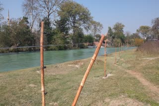 Haridwar bamboo solar fencing