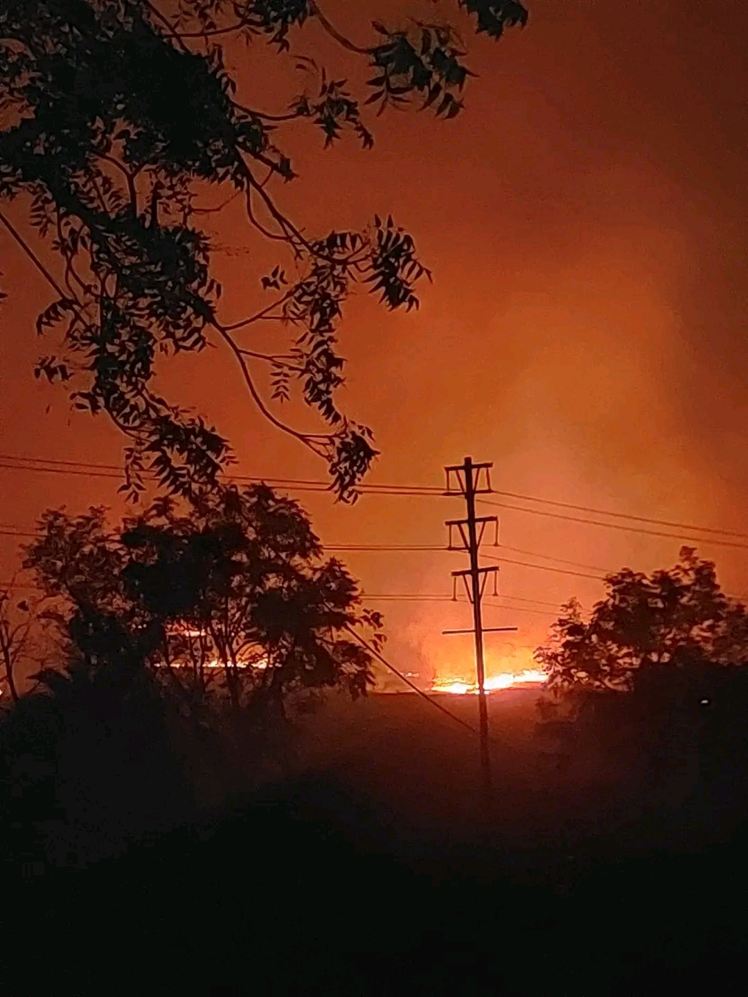 NGT instructions Stubble Burning