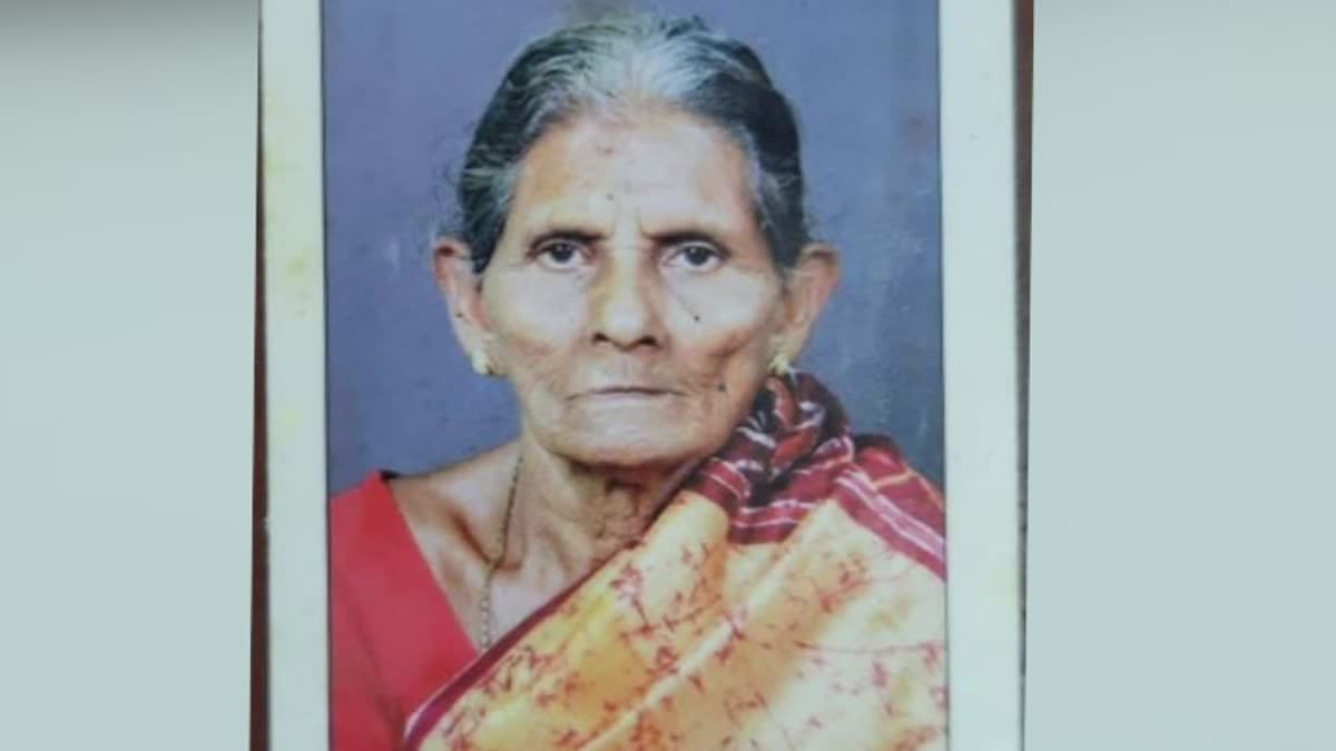 idukki  bee bite  elderly women died  animal attack