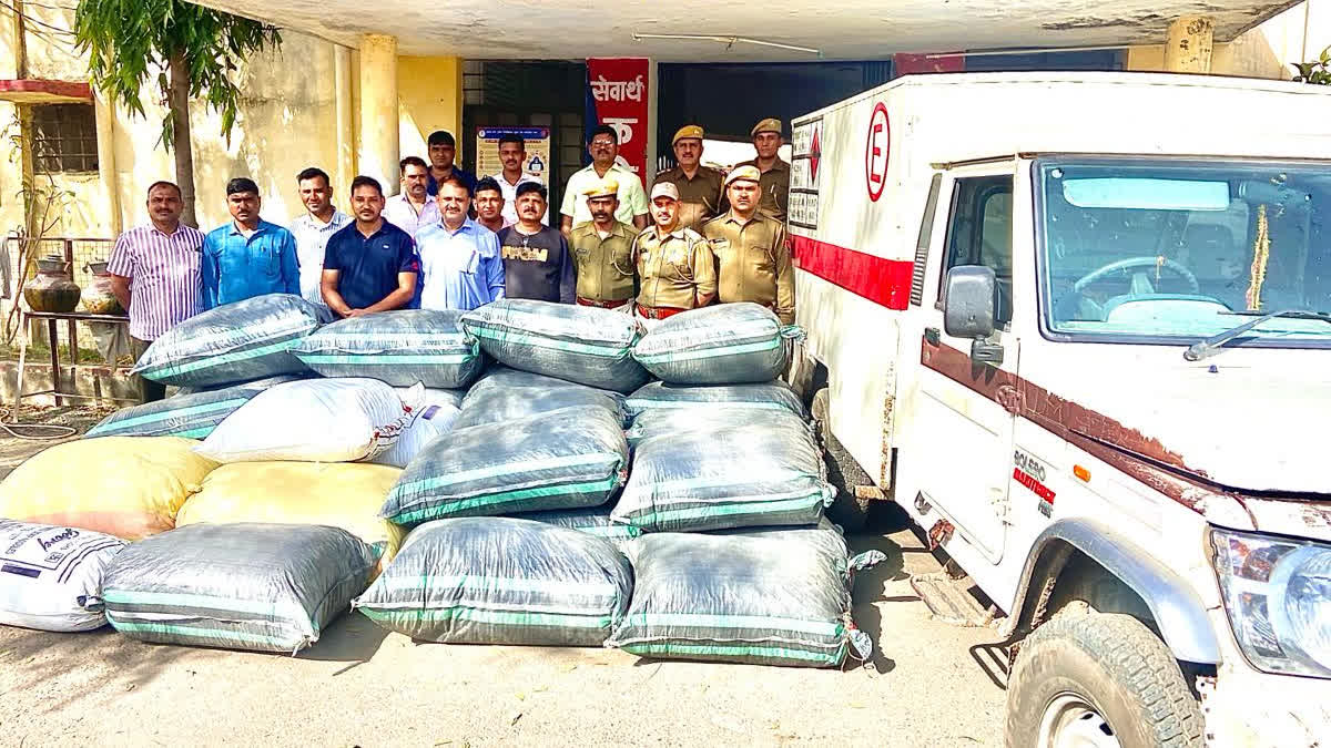 Doda sawdust seized in Jhalawar