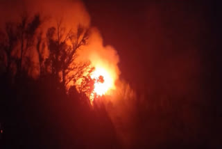 Fire incident in Nilgiris hills