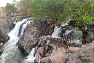 Hogenakkal Cauvery river water Flow increased