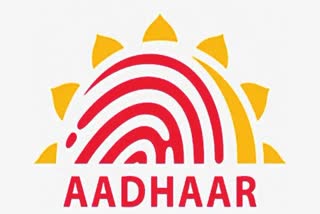 Etv BharatAadhaar Card Free Update