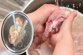 cleaning chicken  cooking Chicken without wash  purpose of chicken cleaning  Bacteria in Chicken meat