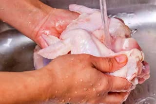 cleaning chicken before cooking  chicken cleaning is bad