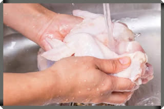 You must be cooking chicken too yummy but do you know the science behind washing the raw chicken? Here are we, at ETV Bharat, to help you clear some of the misunderstandings related to the same.