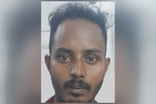migrant worker with three kg ganja  migrant worker arrested  ganja poaching  excise arrest
