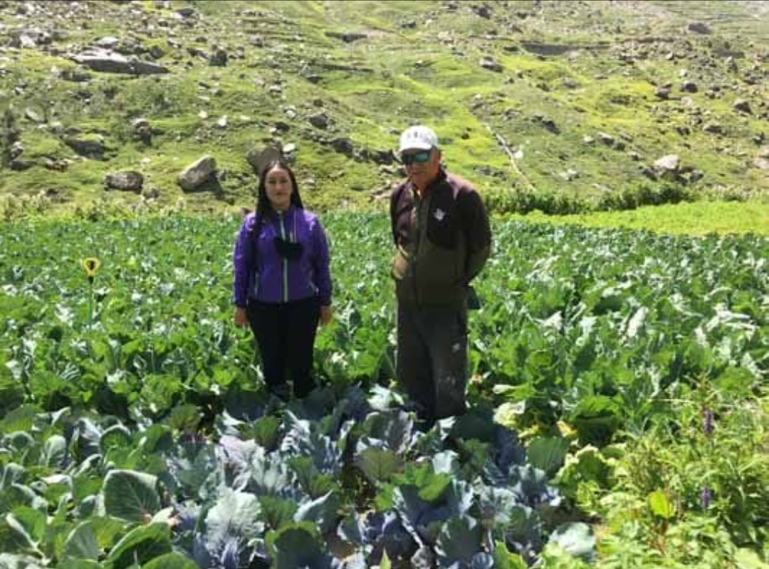 natural farming