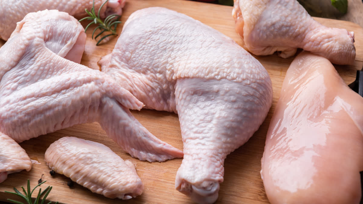 Is eating chicken daily beneficial or harmful for health?