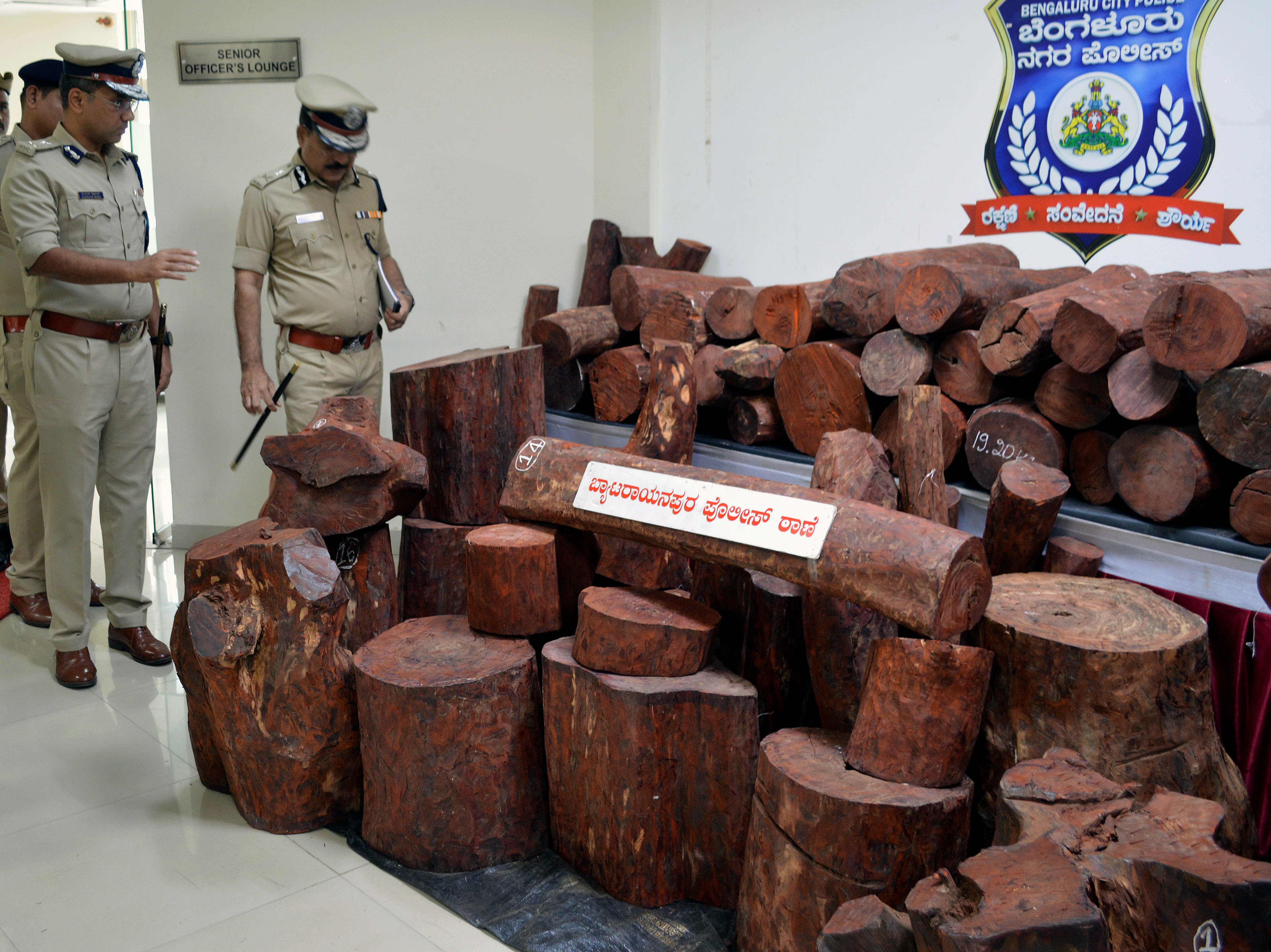 Karnataka Police official inspect the red Sandalwood seized from a timber depot in Bengaluru.