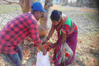 ಪಲಾಶ್ ಹೂಗಳಿಂದ ಆಕರ್ಷಕ ಬಣ್ಣ ತಯಾರಿಕೆ: ಆರೋಗ್ಯಕರ ಹೋಳಿ ಹಬ್ಬಕ್ಕೆ ಮುನ್ನುಡಿ