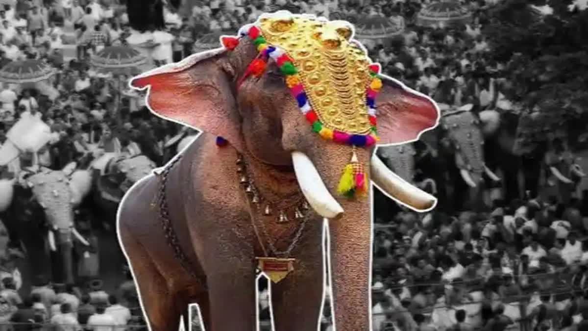 THRISSUR POORAM  LIST OF ELEPHANTS IN POORAM  FITNESS CERTIFICATE  തൃശൂര്‍ പൂരം