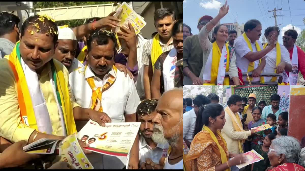 tdp_mla_candidates_state_wide_campaigns