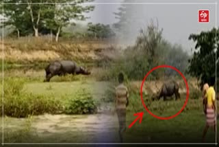 Rhino attack