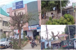 Trees_Cutting_In_Gudivada_Due _to_CM_Tour