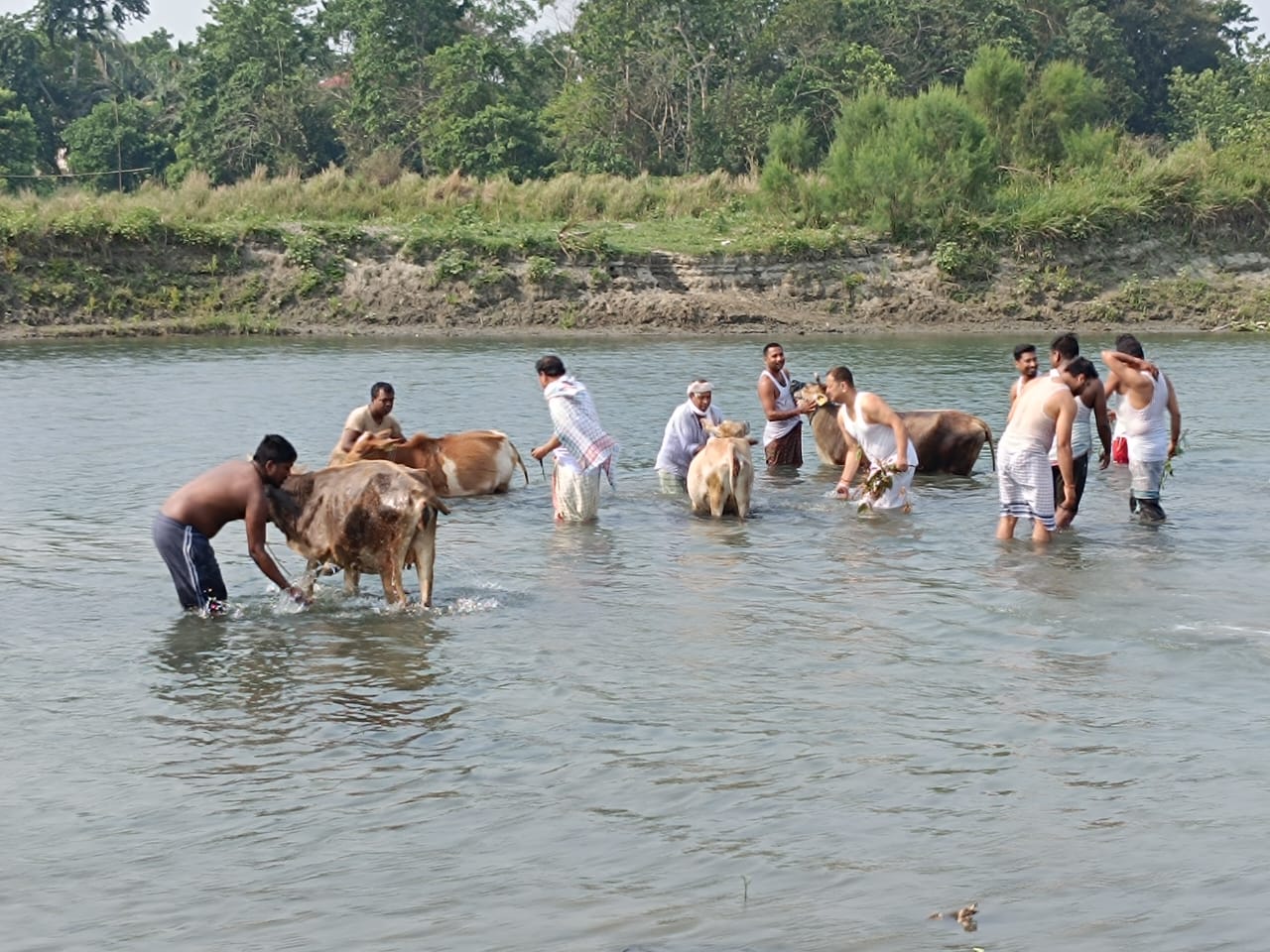 Rituals of Bohag Bihu