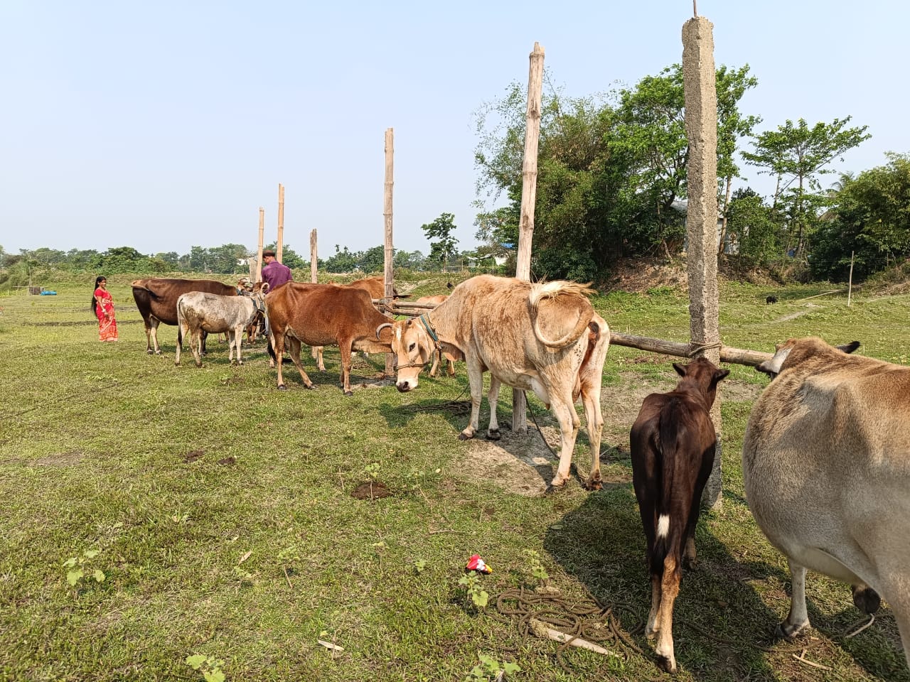 Rituals of Bohag Bihu