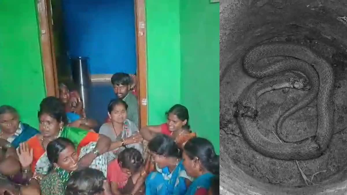 girl-dies-after-being-bitten-by-cobra-while-sleeping-in-ballari