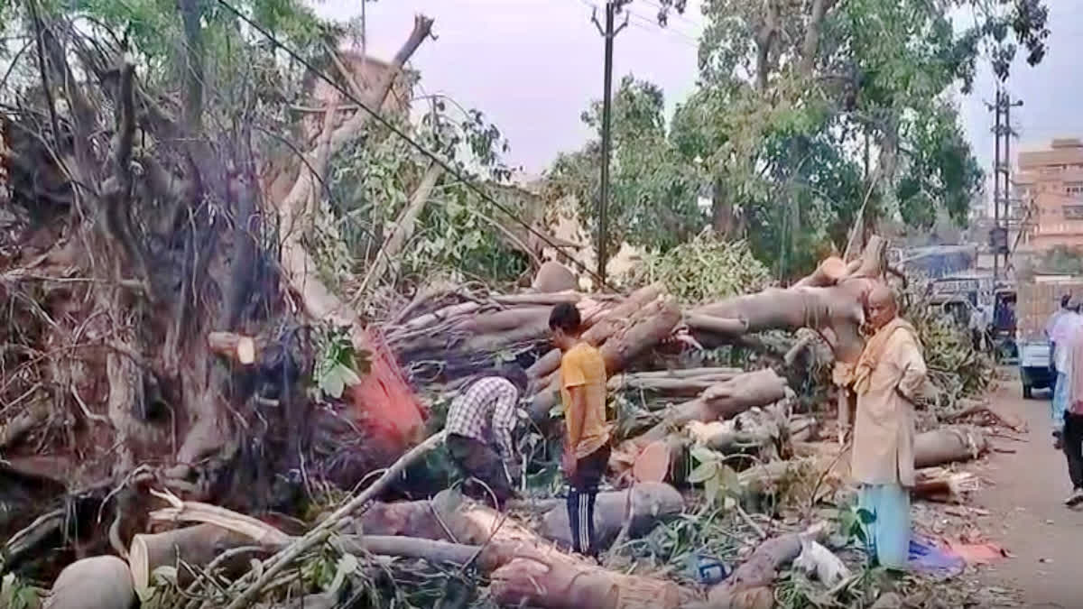 Nalanda cyclone Disaster