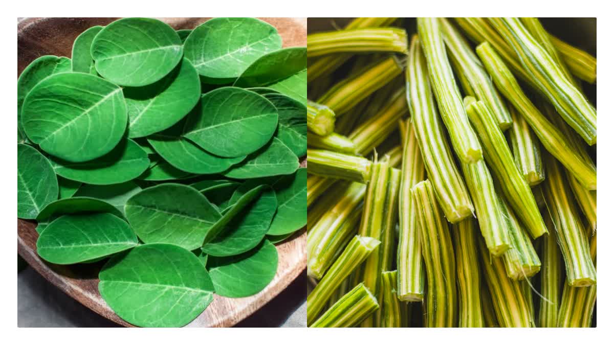 HAIR CARE TIPS WITH MORINGA  DRUMSTICK LEAF WATER FOR HAIRCARE  HOW TO USE MORINGA WATER FOR HAIR  WAYS TO USE MORIGA FOR HAIR GROWTH