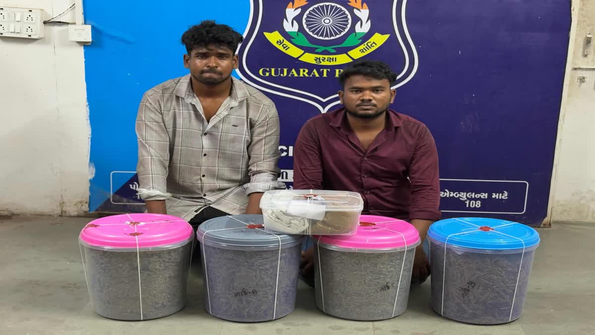 Odisha youths Smuggling ganja in Surat