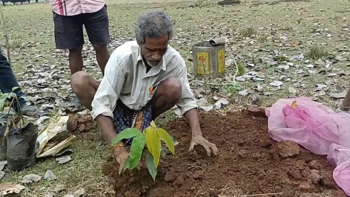 At a time when the world is battling the ill-effects of climate change, Gunthiram Jena of Uasahi in Basudevpur panchayat of Jajpur is trying his best to address the issue
