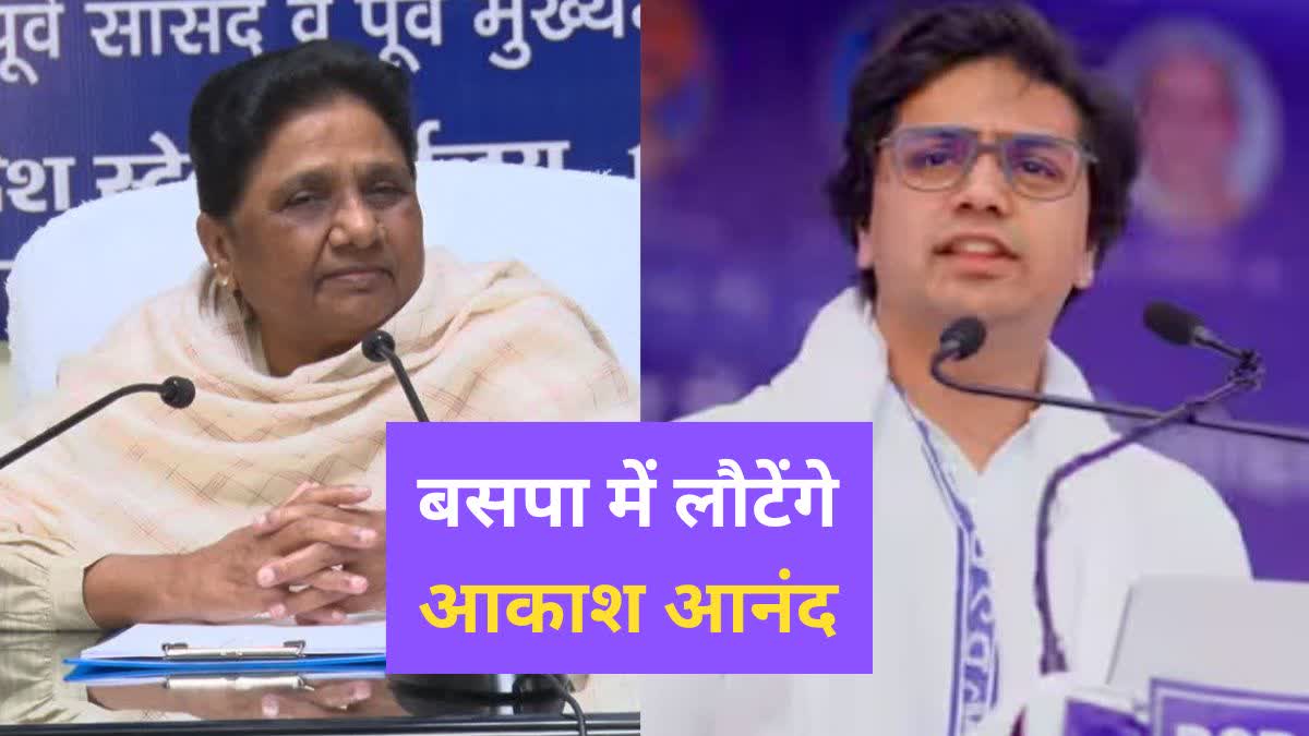 bsp supremo mayawati forgives nephew akash anand paves way for return party