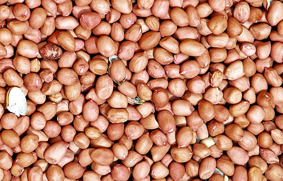 Peanut Chikki