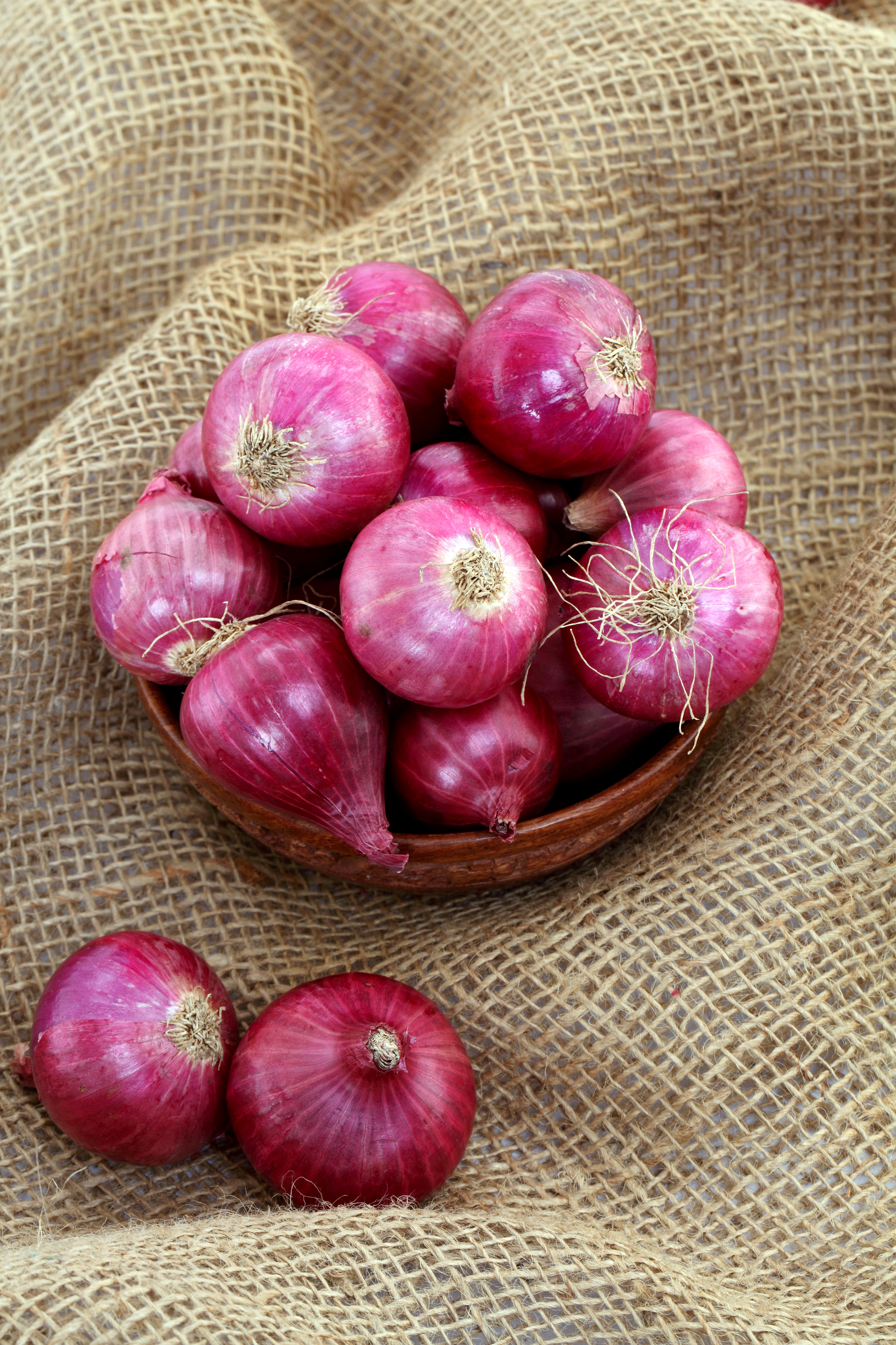 Onion