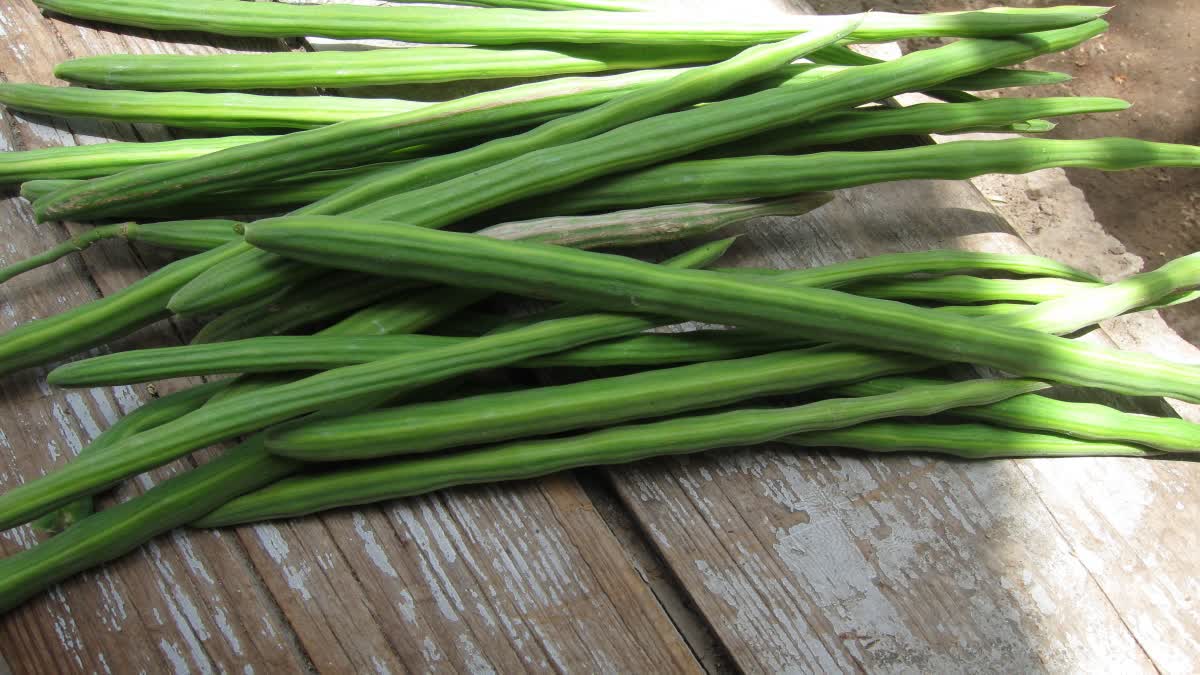 HAIR CARE TIPS WITH MORINGA DRUMSTICK LEAF WATER FOR HAIRCARE HOW TO USE MORINGA WATER FOR HAIR WAYS TO USE MORIGA FOR HAIR GROWTH
