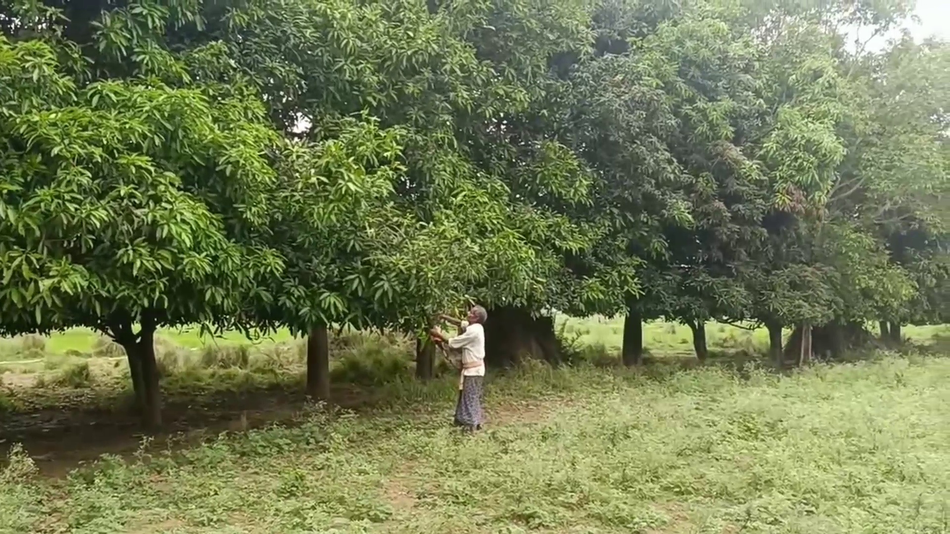 Gunthiram Jena