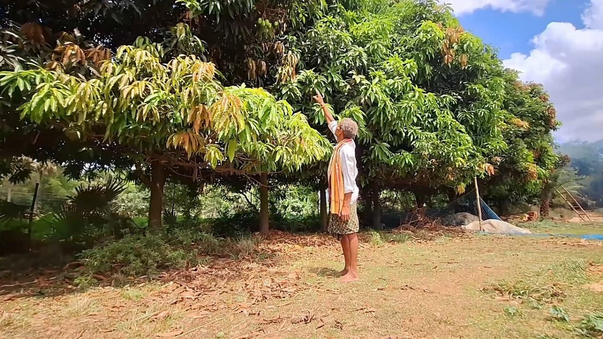 At a time when the world is battling the ill-effects of climate change, Gunthiram Jena of Uasahi in Basudevpur panchayat of Jajpur is trying his best to address the issue.