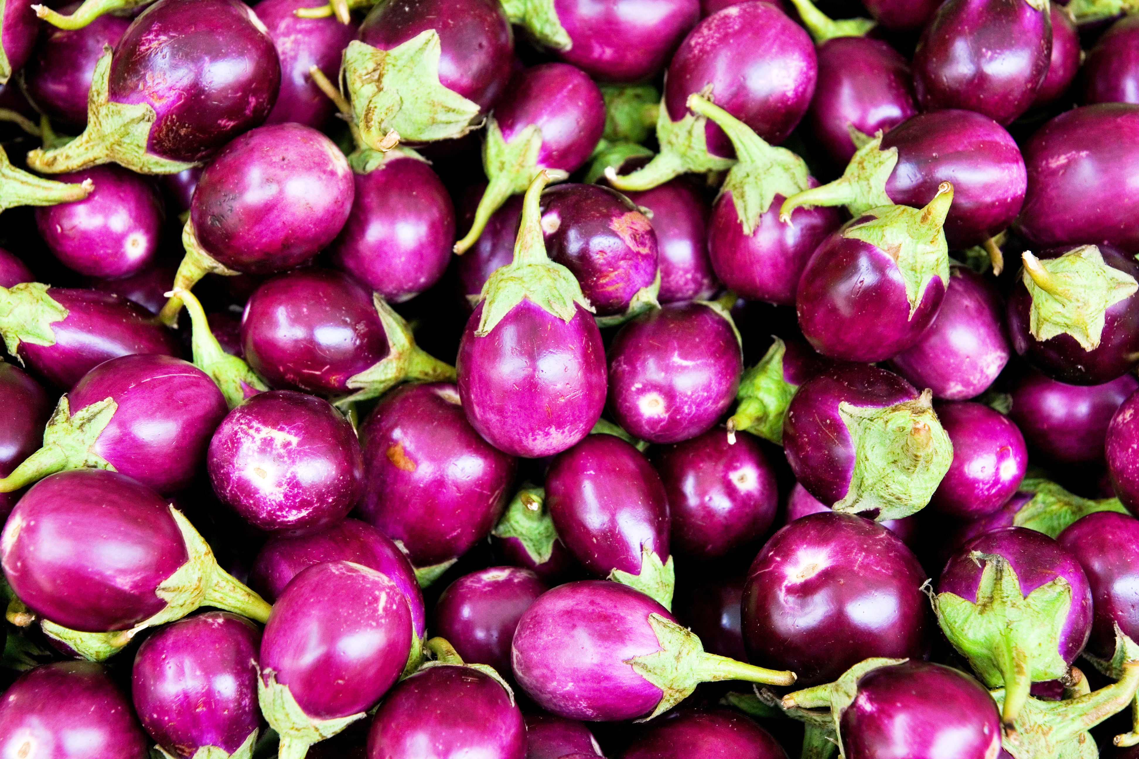 Vankaya