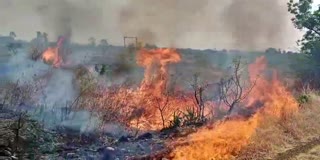 crop-destroyed-due-to-fire-broke-out-in-bidar