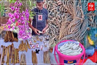 Assam celebrates Bohag Bihu, people throng markets