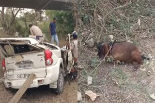 JABALPUR ACCIDENT SCAPEGOAT SURVIVE