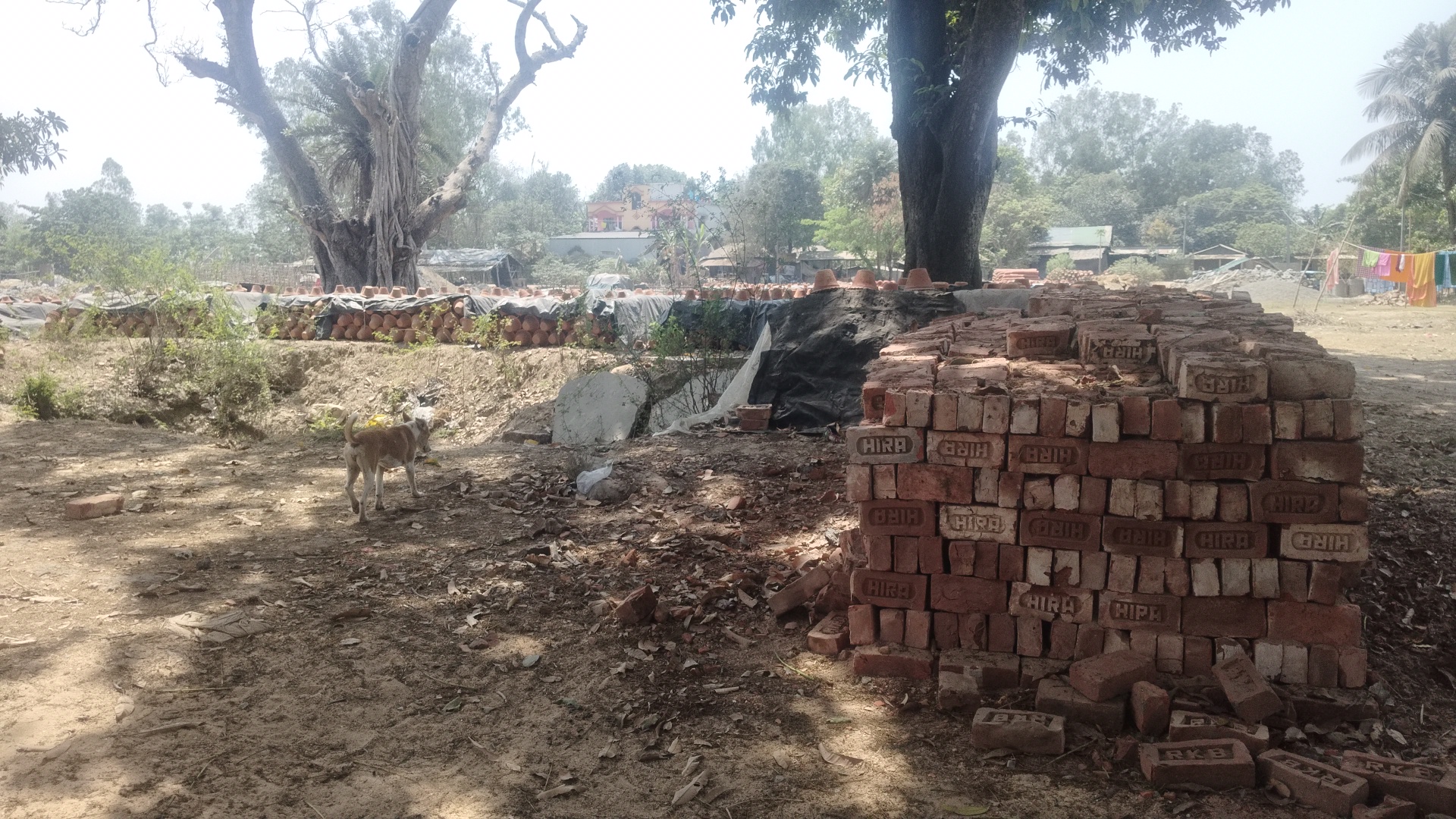 Buniadpur Stadium